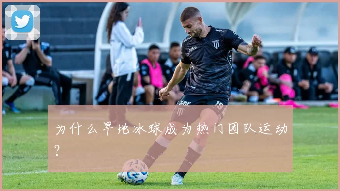 为什么旱地冰球成为热门团队运动？