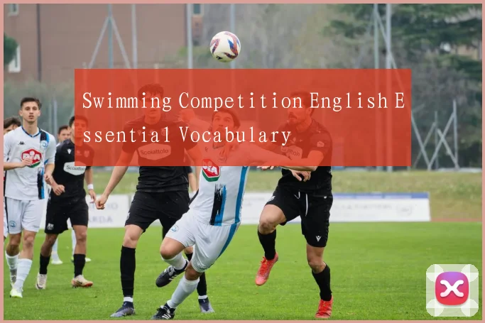 Swimming Competition English Essential Vocabulary