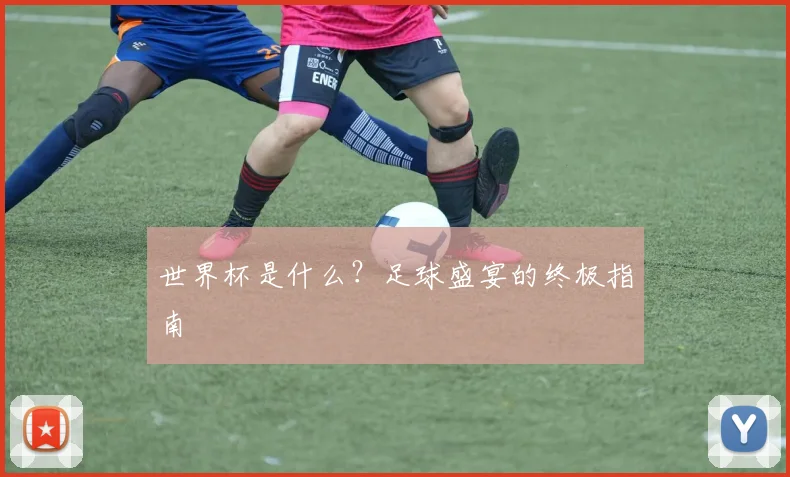 世界杯是什么？足球盛宴的终极指南