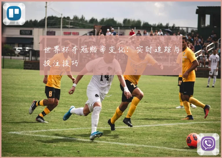 世界杯夺冠赔率变化：实时追踪与投注技巧